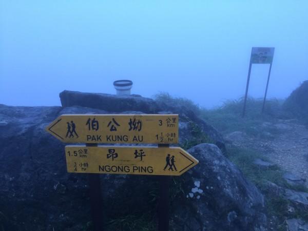 新忍出击
