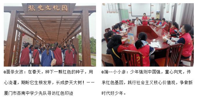 漂亮鹦鹉救援